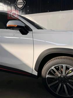 جیتۆر داشينگ